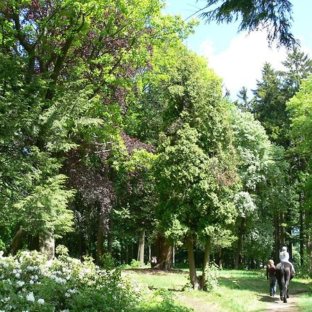 Parkhotel Smržovka Eksteriør billede