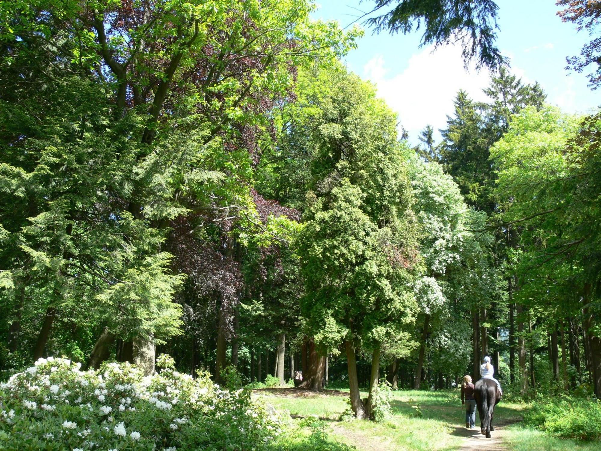 Parkhotel Smržovka Eksteriør billede